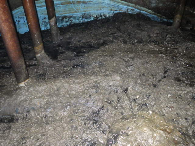 接触酸化槽 清掃前